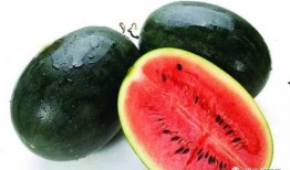 fun热点黑料 今日吃瓜51cg,今日热点黑料，吃瓜群众狂欢时刻